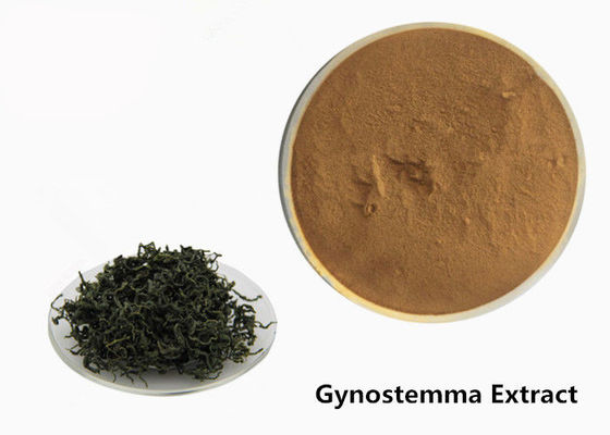 Chine Poudre de fines herbes d'extrait de Gynostemma d'anti tumeur de catégorie comestible fournisseur