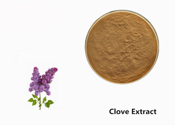 Chine Poudre d'extrait d'usine de fleur de clou de girofle de Brown pour l'additif fournisseur