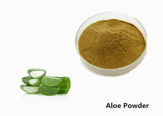 Chine Poudre cosmétique d'extrait d'usine de feuille de Barbadensis d'aloès de catégorie pour la peau fournisseur