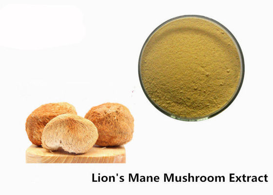 Chine Poudre de champignon de la crinière des lions organiques d'anti 50% bêta glucane viral de D fournisseur