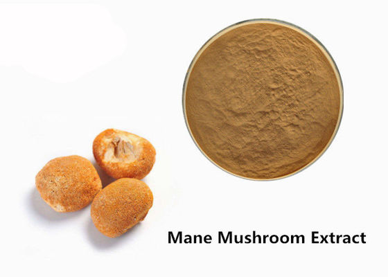 Chine Poudre d'extrait de champignon de polysaccharides de l'Erinaceus 10% de Hericum fournisseur
