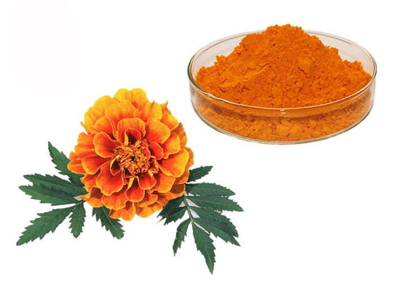 Chine Poudre de fines herbes d'extrait de colorant de xanthophylle de fleur naturelle de souci fournisseur
