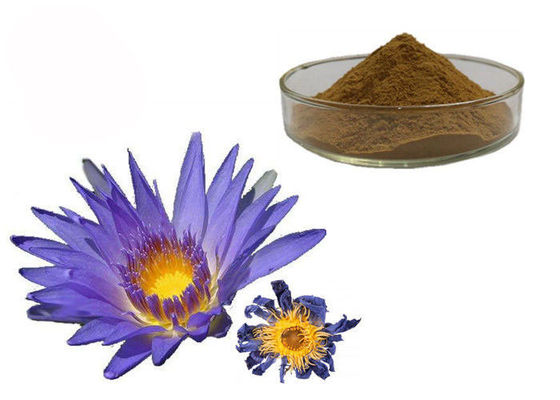 Chine Extraits de fines herbes organiques bleus de Lotus de poudre de fleur de Caerulea de Nymphaea fournisseur