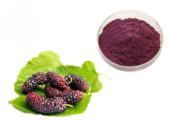Chine Poudre de fines herbes d'extrait de mûre de fruit d'anthocyanine pour des additifs fournisseur