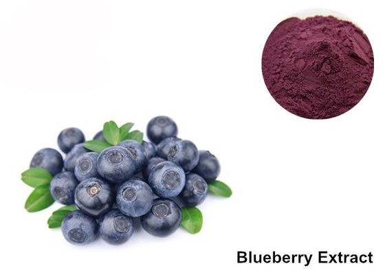 Chine Poudre organique d'extrait de myrtille pour des yeux fournisseur