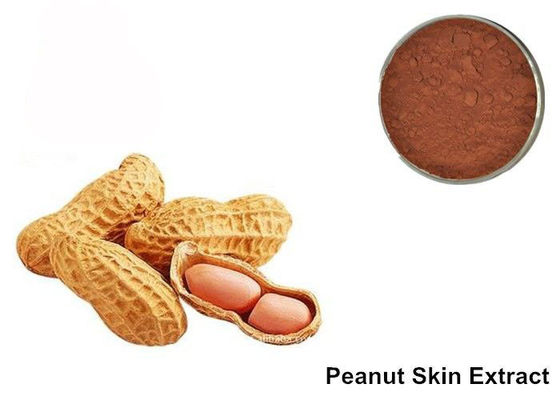 Chine Poudre d'extrait d'anthocyanine de peau d'arachide de 95% Proanthocyanidins fournisseur