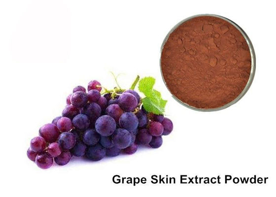 Chine Pépin de raisin d'anthocyanines de 25%/poudre purs d'extrait peau de raisin fournisseur