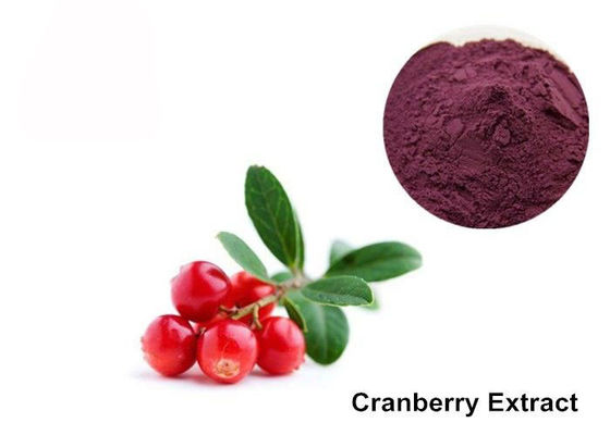 Chine Poudre pourpre d'extrait d'anthocyanine du rouge 25% de fruit de canneberge fournisseur