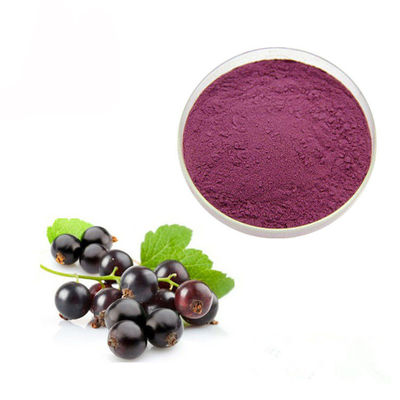 Chine Poudre concentrée d'extrait d'anthocyanine du cassis 10% de jus fournisseur