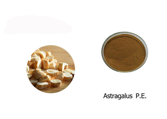 Chine Poudre 100% d'extrait d'astragale fournisseur