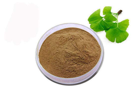 Chine Poudre organique de Biloba de Ginkgo de catégorie d'USP fournisseur