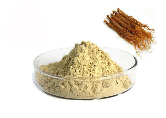 Chine Extrait rouge de ginseng de 10% Ginsenosides fournisseur