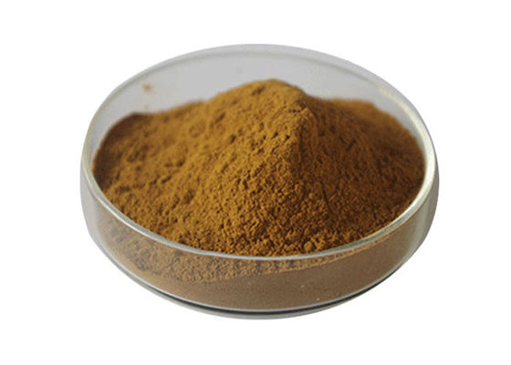 Poudre organique de Biloba de Ginkgo de catégorie d'USP fournisseur