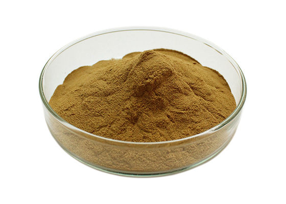Poudre de Biloba de Ginkgo de tension artérielle d'Owering fournisseur