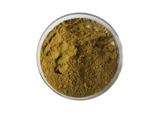 Poudre nutritionnelle d'extrait de feuille de Biloba de Ginkgo de Brown de catégorie comestible fournisseur