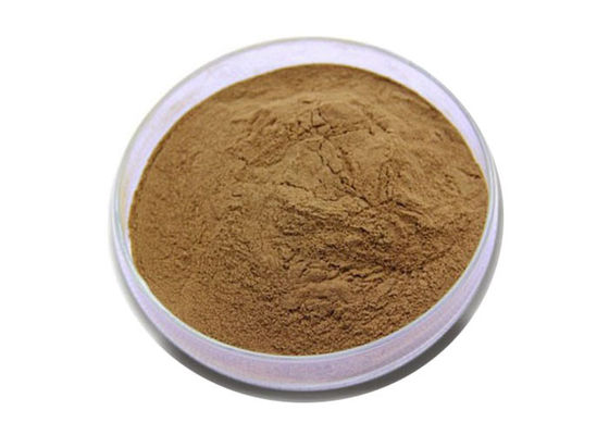 Poudre nutritionnelle d'extrait de feuille de Biloba de Ginkgo de Brown de catégorie comestible fournisseur