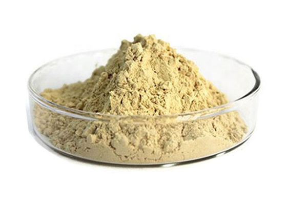 Poudre naturelle d'extrait de ginseng de racine pharmaceutique de 80% Panax fournisseur