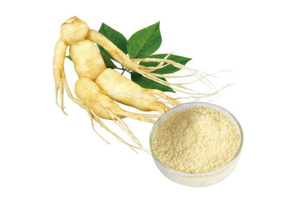 Poudre de fines herbes pure de racine de ginseng de CAS 90045-38-8 80% Ginsenosides fournisseur