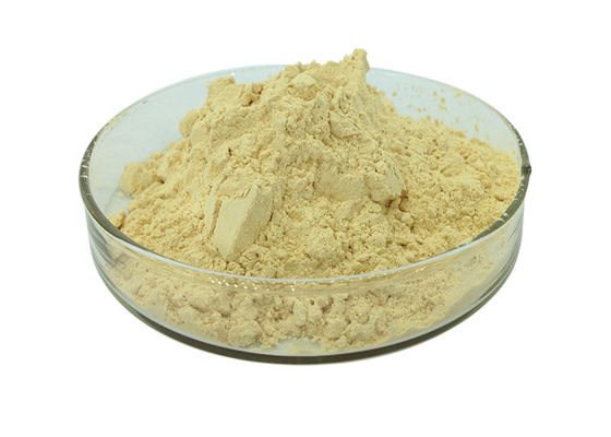 Poudre jaune-clair anti-vieillissement d'extrait de ginseng de 30% Ginsenosides fournisseur