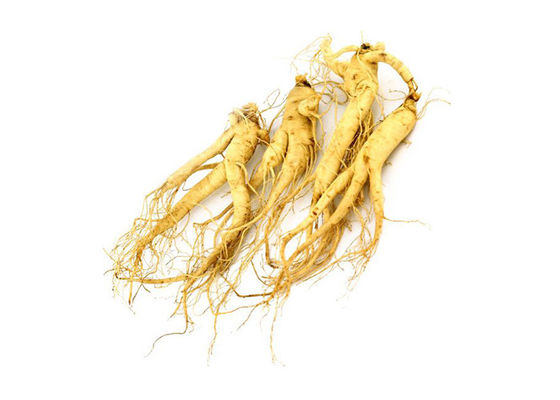 Poudre jaune-clair anti-vieillissement d'extrait de ginseng de 30% Ginsenosides fournisseur