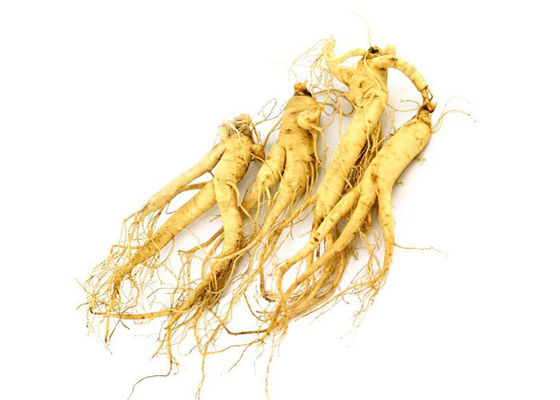 Poudre d'extrait de ginseng de Panaxoside de catégorie comestible pour des produits de santé fournisseur