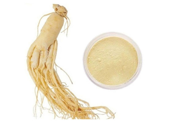 Extrait pur sibérien organique de ginseng de la racine 30% 80% Ginsenosides fournisseur