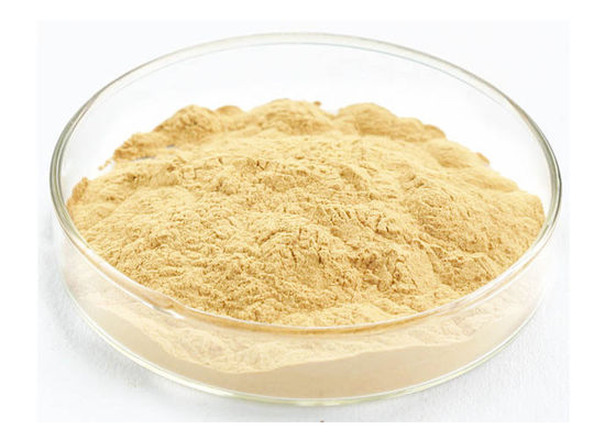 Soins de santé améliorant la poudre immunisée d'extrait de ginseng de racine fournisseur