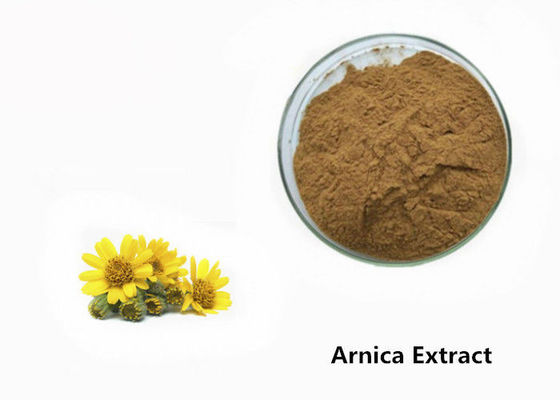 Poudre d'extrait d'usine d'arnica fournisseur