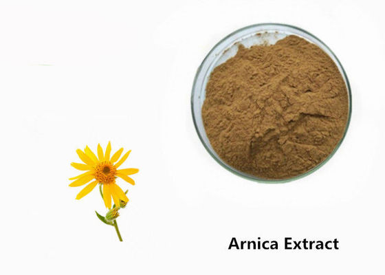 Poudre d'extrait d'usine d'arnica fournisseur