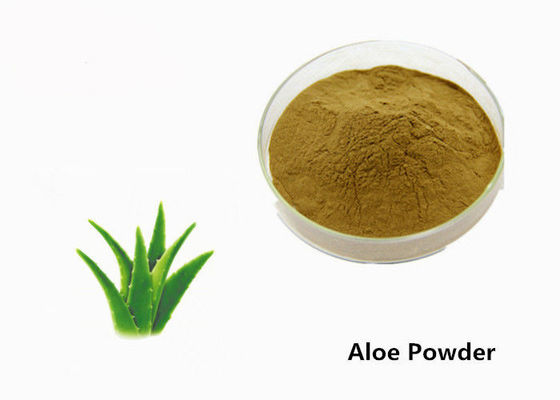 Poudre cosmétique d'extrait d'usine de feuille de Barbadensis d'aloès de catégorie pour la peau fournisseur