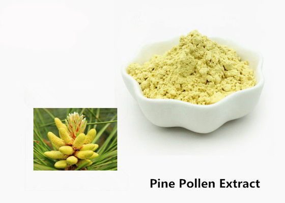 Poudre naturelle d'extrait de pollen de pin des soins de santé 1kg fournisseur