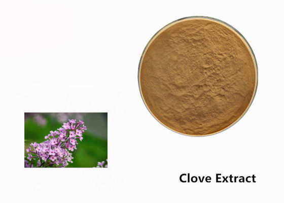 Poudre d'extrait d'usine de fleur de clou de girofle de Brown pour l'additif fournisseur