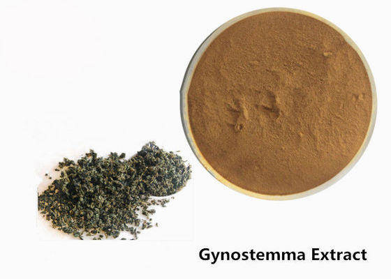 Poudre de fines herbes d'extrait de Gynostemma d'anti tumeur de catégorie comestible fournisseur