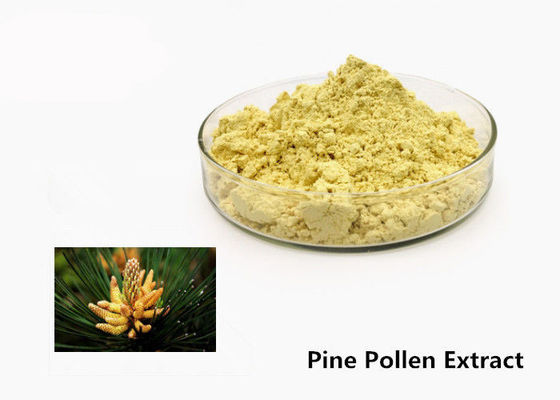 Poudre naturelle d'extrait de pollen de pin des soins de santé 1kg fournisseur