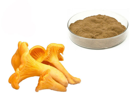 Poudre d'extrait de champignon de Chantarelle de polysaccharides de 30% fournisseur