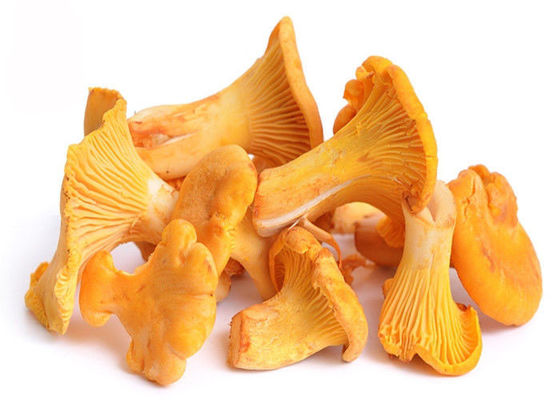Poudre d'extrait de champignon de Chantarelle de polysaccharides de 30% fournisseur