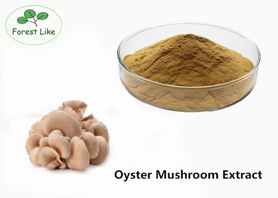 Poudre d'extrait de champignon d'huître fournisseur