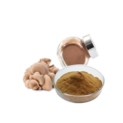 Poudre d'extrait de champignon d'huître fournisseur