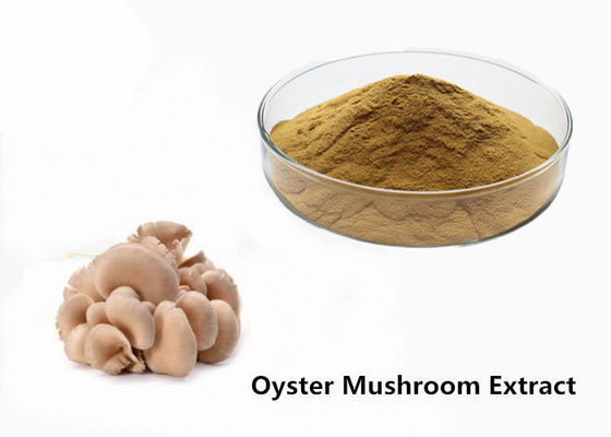 Poudre d'extrait de champignon d'huître fournisseur