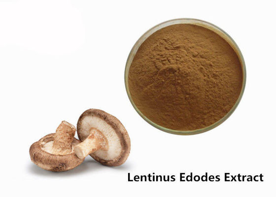Anti poudre d'extrait de champignon de shiitaké de catégorie comestible de fatigue fournisseur