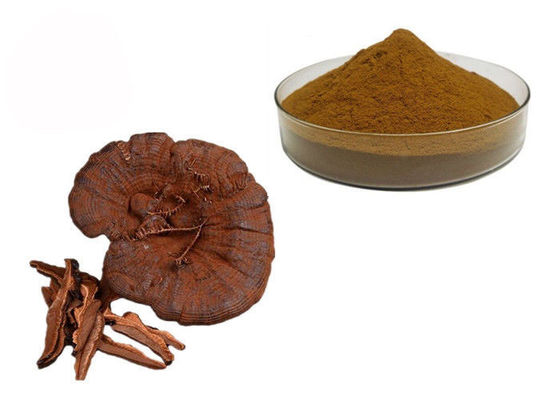 Poudre d'extrait de champignon de Ganoderma Lucidum Reishi de pureté de 50% fournisseur