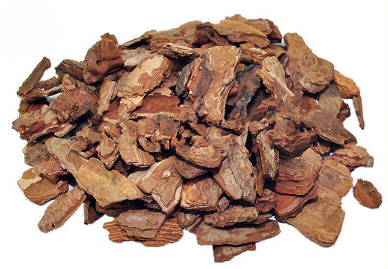 Poudre d'extrait d'écorce de pin de Proanthocyanidins 95% fournisseur
