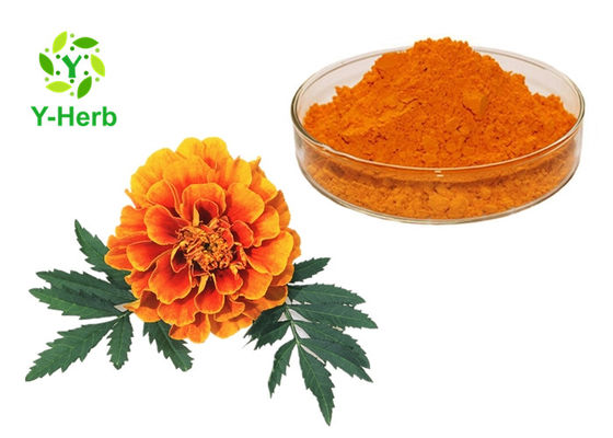 Poudre de fines herbes d'extrait de colorant de xanthophylle de fleur naturelle de souci fournisseur