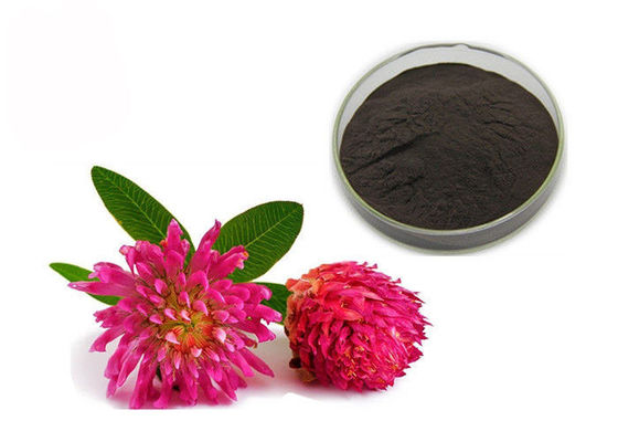 Poudre d'extrait de trèfle violet d'isoflavones de la pureté 2,5% 8% 20% 40% fournisseur
