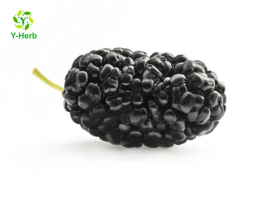 Poudre de fines herbes d'extrait de mûre de fruit d'anthocyanine pour des additifs fournisseur