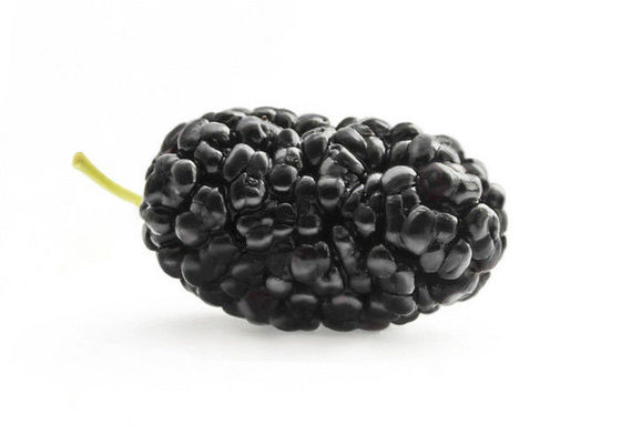 Poudre de fines herbes d'extrait de mûre de fruit d'anthocyanine pour des additifs fournisseur