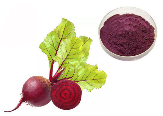 Poudre végétale d'extrait de colorant d'anti betteraves rouges naturelles de tumeur fournisseur