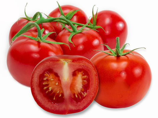 Le lycopène 502-65-8 de 6% 10% 20% a déshydraté l'extrait de fruit de tomate fournisseur