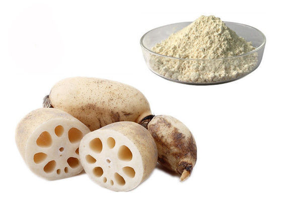 Poudre naturelle pure d'extrait de légume à racine de Lotus de remplacement de repas fournisseur