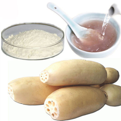 Poudre naturelle pure d'extrait de légume à racine de Lotus de remplacement de repas fournisseur